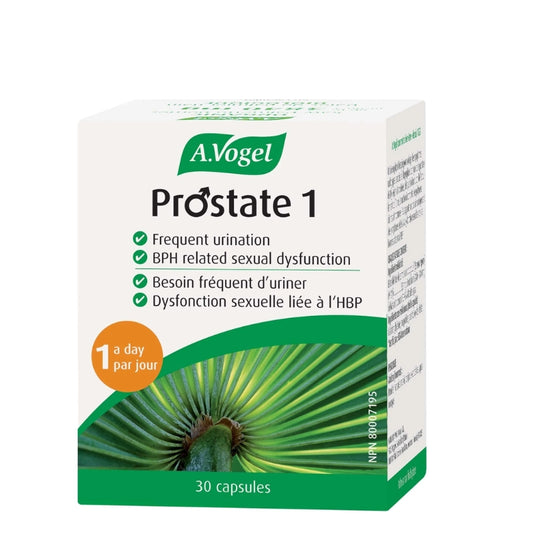 A.vogel Prostate 1