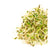 Graines a germer Salade printanière mélangée Spring salad mix