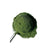 Organic traditions Superaliments verts - Ananas & Noix de coco Supergreens - Pineapple coconut