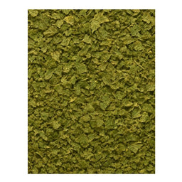 Dion - Feuilles de coriandre biologiques - texture