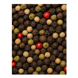 Dion - Mélange 4 poivres - texture