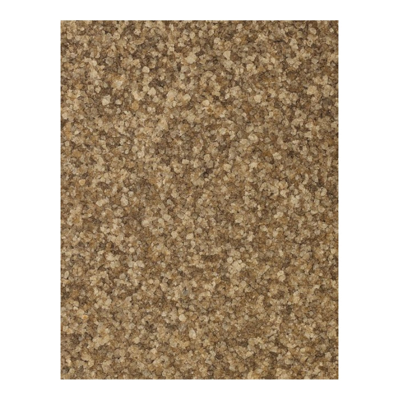 Dion - Sel de céleri - texture