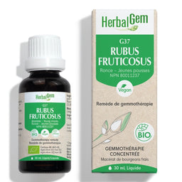 Rubus fruticosus | G37