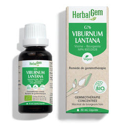 herbalgem Viburnum lantana | G76