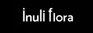 Inuliflora