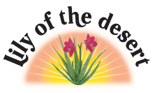 Lily of the Desert