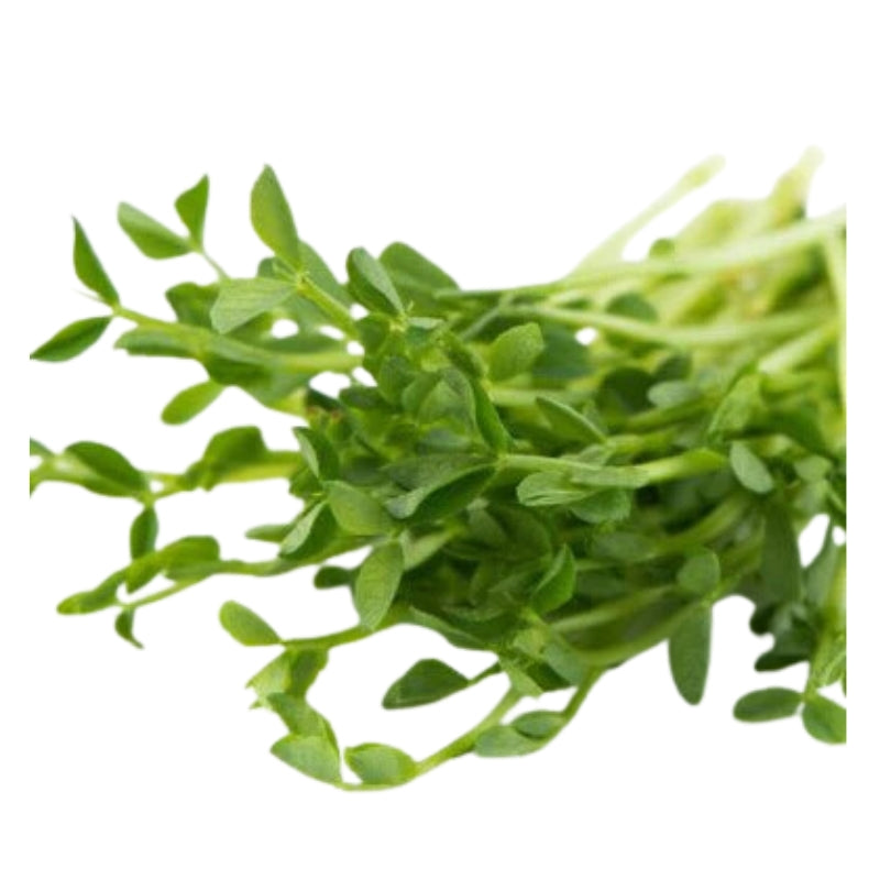 Mumms Pois verts biologique