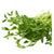 Mumms Pois verts biologique