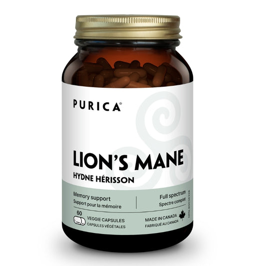 purica Lion's Mane (Hydne Hérisson)