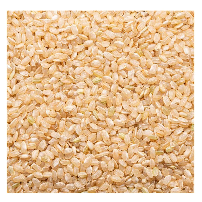 Lundberg Riz Brun à Grain Court Biologique