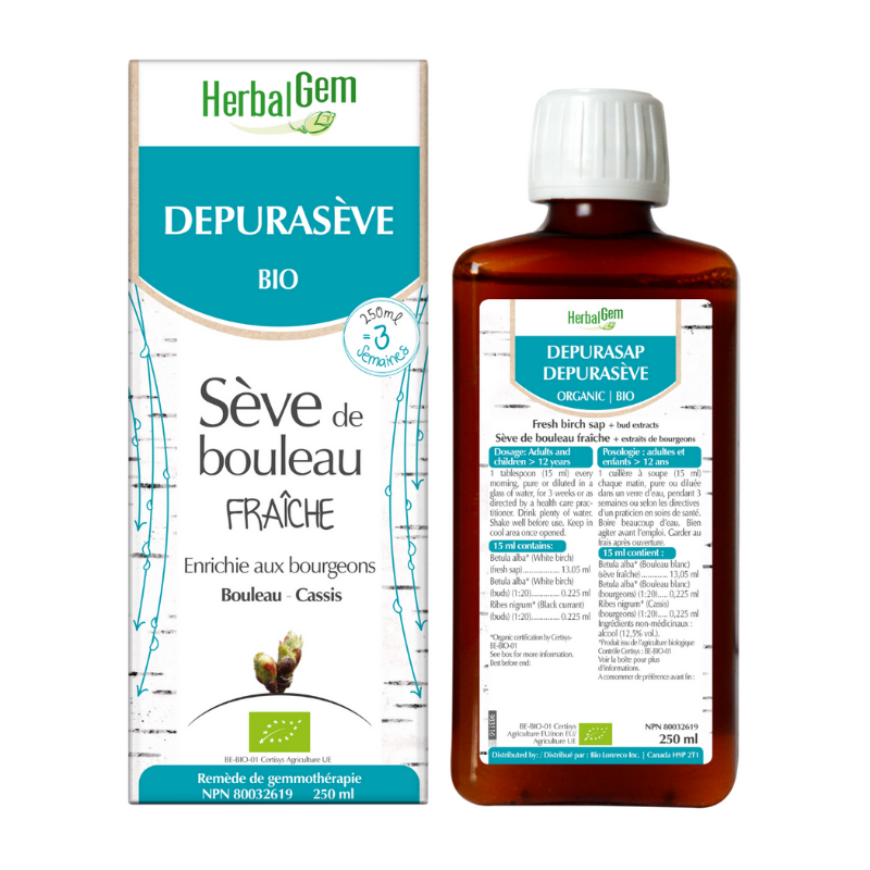 Herbalgem Depurasève biologique Sève de bouleau fraîche enrichie aux bourgeons Bouleau Cassis 250 ml