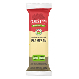 Fromage Parmesan