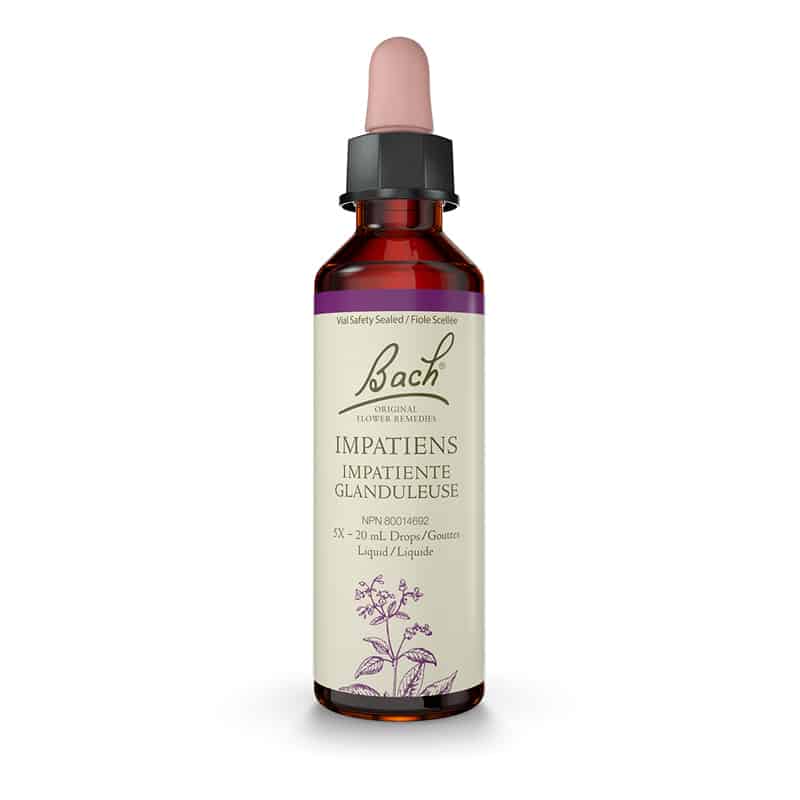 Bach fleur bach impatiente glanduleuse