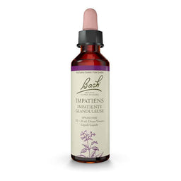 Bach fleur bach impatiente glanduleuse