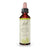 Bach fleur bach marronnier blanc