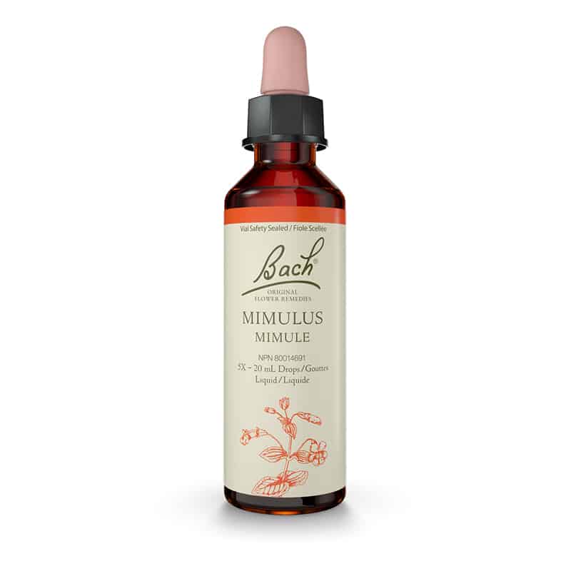 bach fleur bach mimule