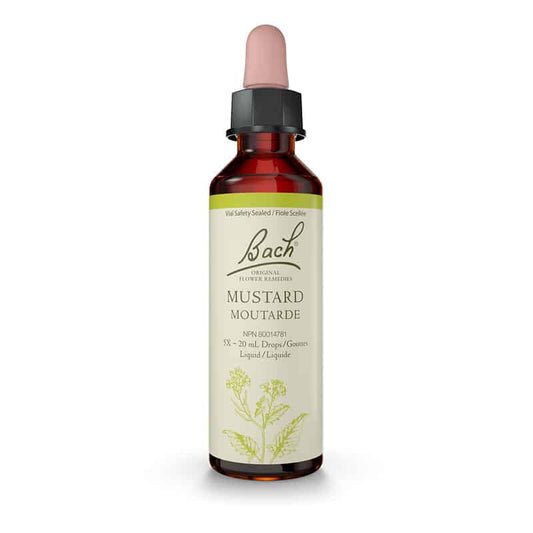 Bach fleur bach moutarde