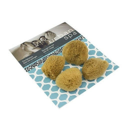 Urban Spa Éponges De Mer Soin Du Visage